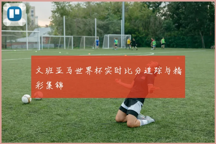 文班亚马世界杯实时比分追踪与精彩集锦